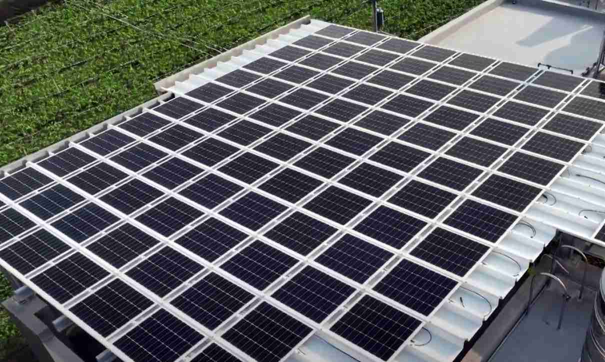 蓝狮在线SunSteel光电浪板升级双玻结构，，以提升机械负载强度及气候耐候度，，可广泛运用于多元场域